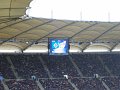HSV - VfB 2007 (47)